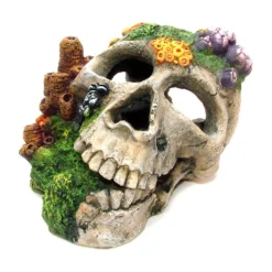 Classic Aquatics Skull & Coral Growth Ornament