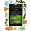 Understanding Coldwater Fish By Dick Mills Book