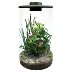SuperFish BioArt CYLINDER Terrarium Micro Landscape Black 4L