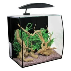 Aqua One Arc 46 Aquarium Fish Tank Bow Front 46L