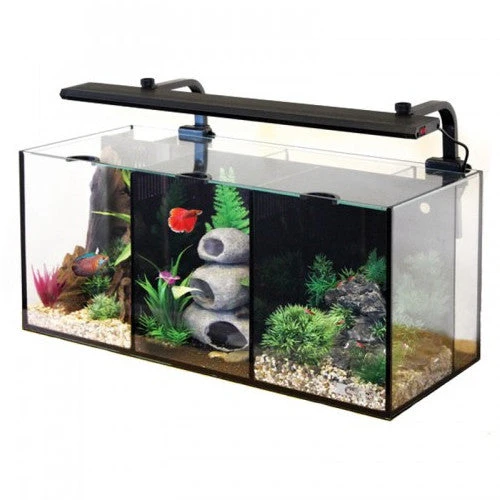 Aqua One Aquarium Fish Tank Betta Trio 32L - Image 2
