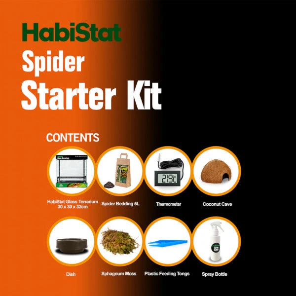 HabiStat Spider Glass Terrarium Complete Starter Kit - Image 3