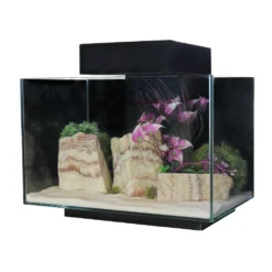 Aqua One Platform 21 Aquarium Fish Tank 40cm 21L