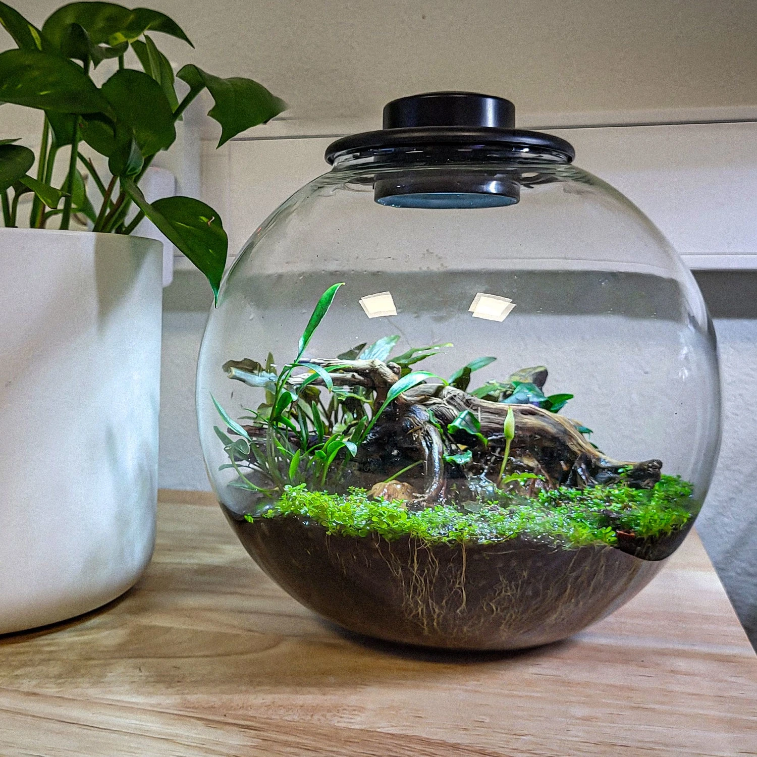 SuperFish BioArt BOWL Terrarium Micro Landscape Black 5.1L - Image 2