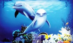 Penn-Plax Penn Plax 3D HD Aquarium Background Dolphin 51 X 31cm