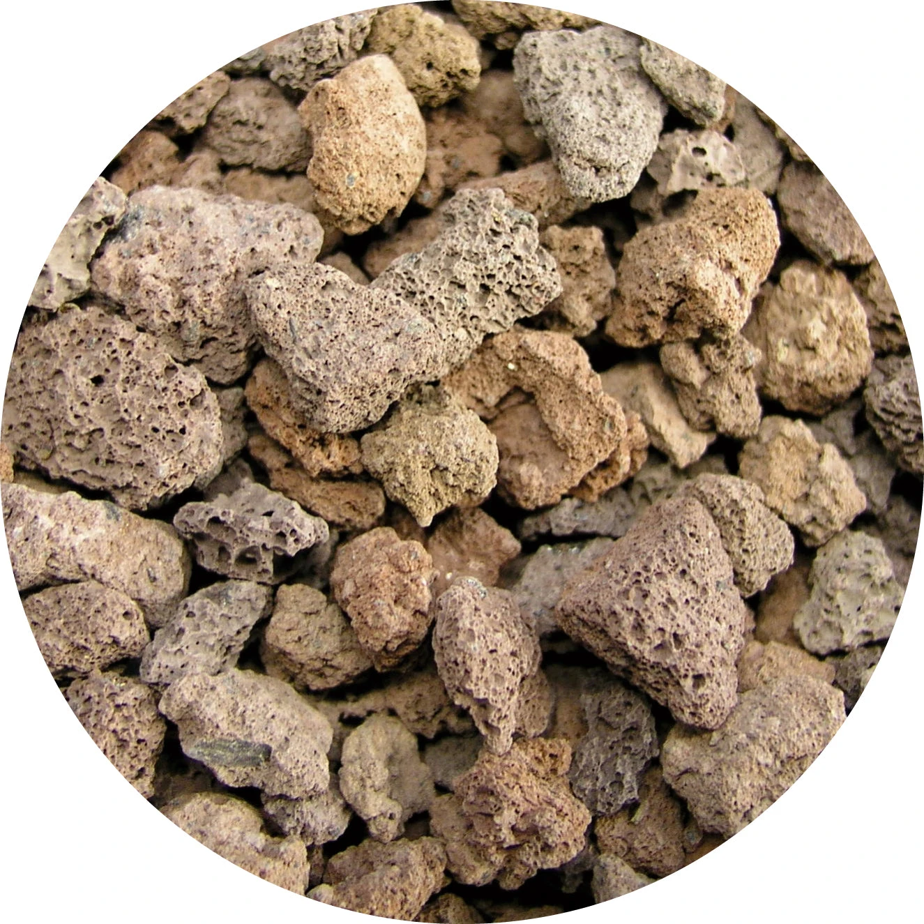 Eheim LAV Biological Filter Media 1L 1010g - Image 2