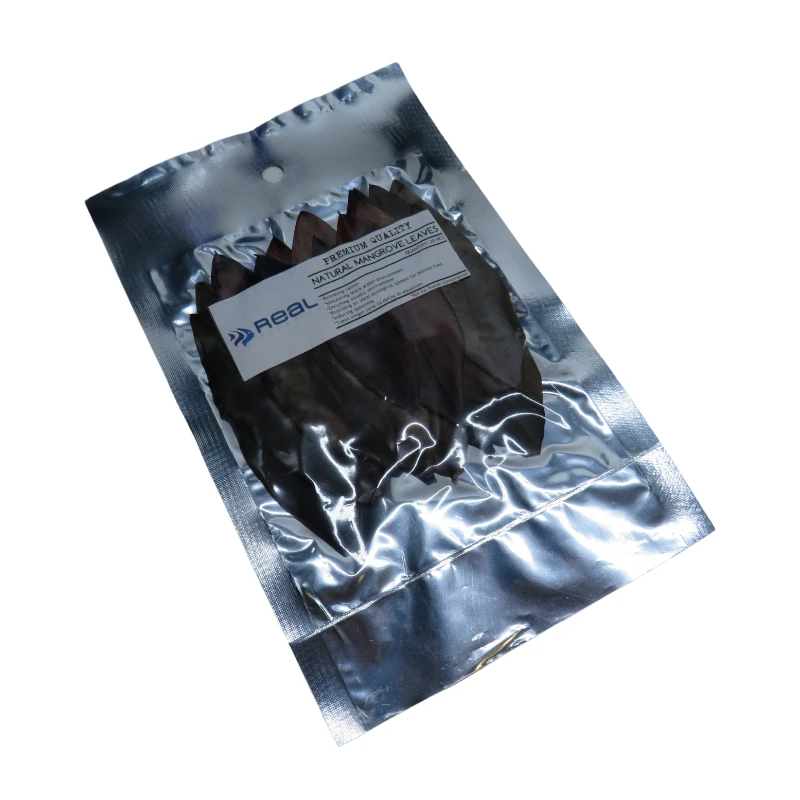 Natural Mangrove Leaves X20 - Image 3