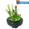 Superfish Floating Plant Basket