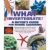 What Invertebrate? A Buyers Guide For Marine Aquariums By Tristan Lougher