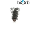 BiOrb Sea Fan Decoration Black Small 46093