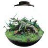 SuperFish BioArt BOWL Terrarium Micro Landscape Black 5.1L