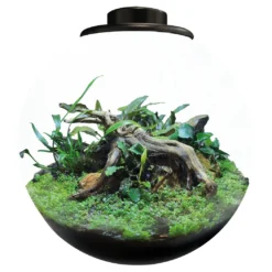 SuperFish BioArt BOWL Terrarium Micro Landscape Black 5.1L