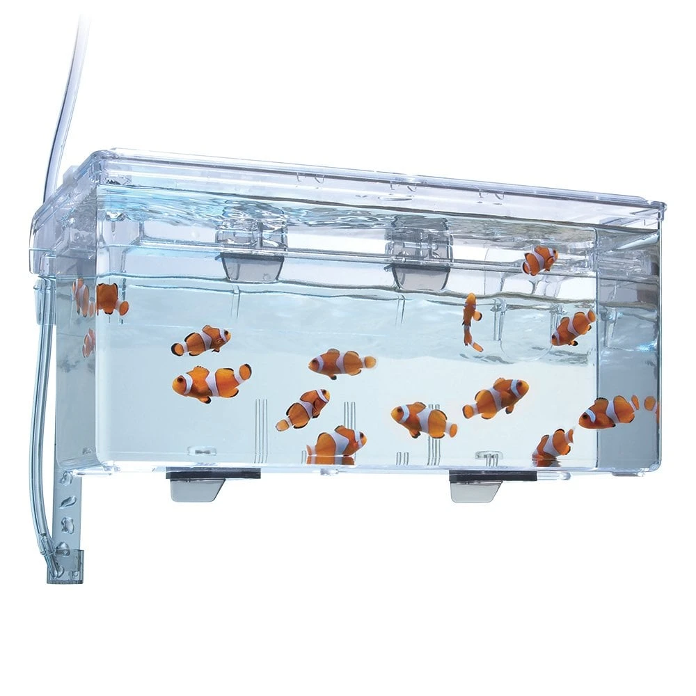 Fluval Hang-On Multi-Chamber Holding & Breeding Box - Image 3