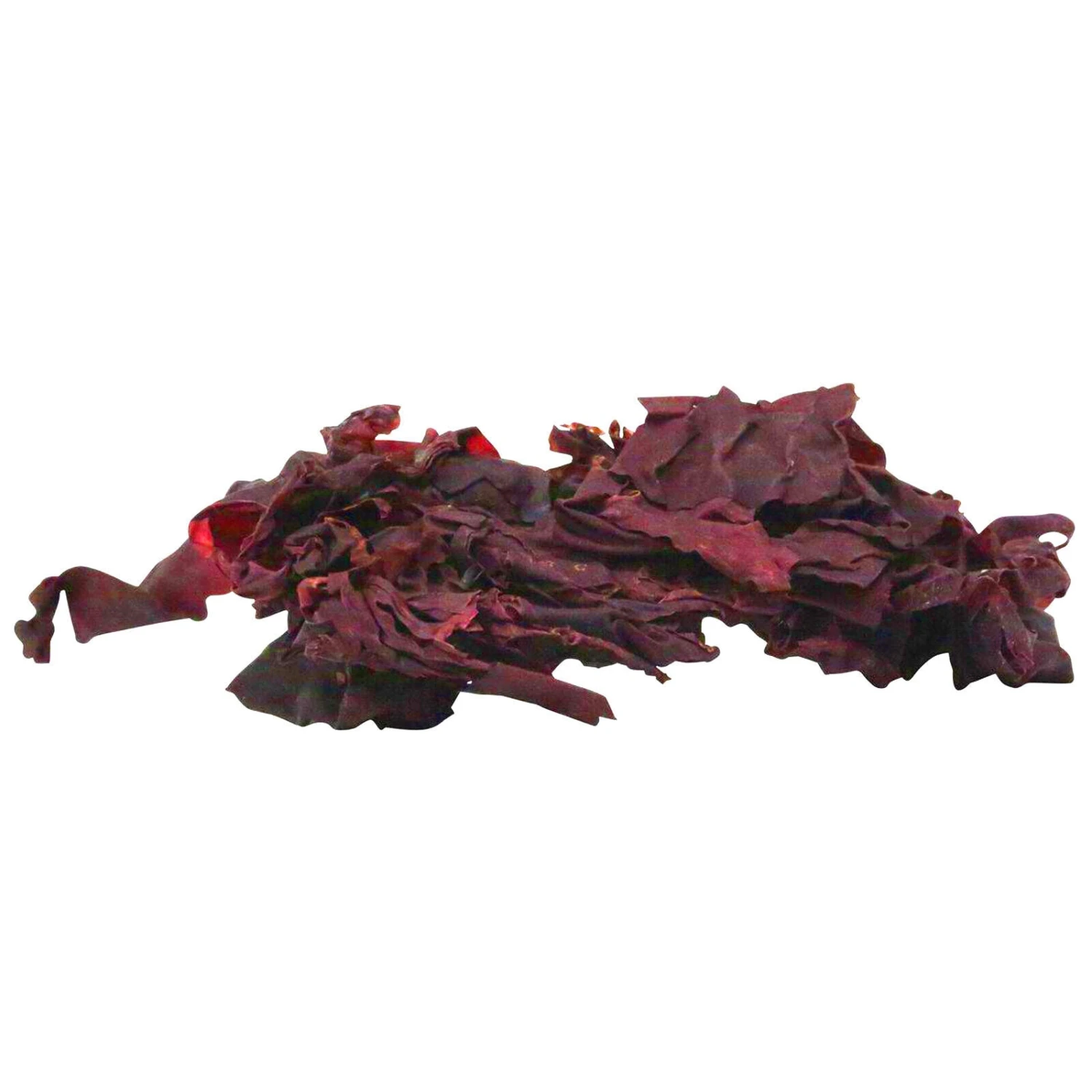 Julian Sprung's Sea Veggies Red Seaweed 2 Sizes - Image 2