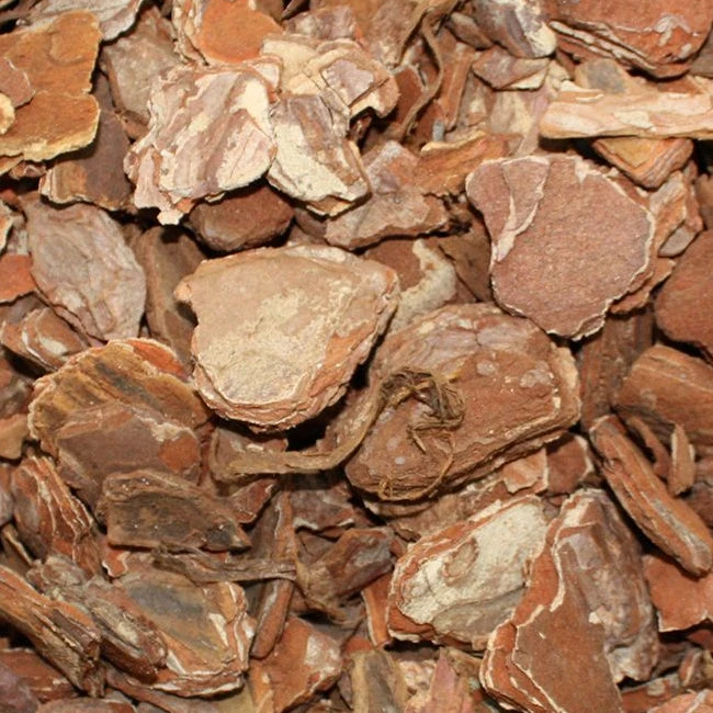 Komodo Orchid Bark Forest Terrain 6/12/24L - Image 2