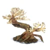Ancient Pine Bonsai Tree Hand Picked & Hand Carved Small 23cm
