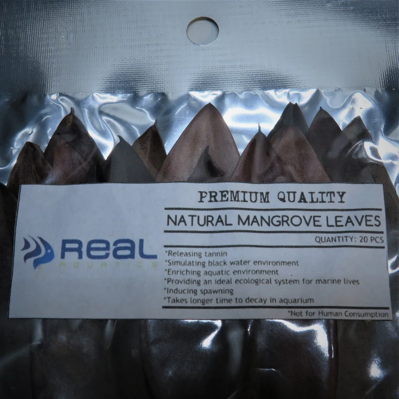 Natural Mangrove Leaves X20 - Image 5