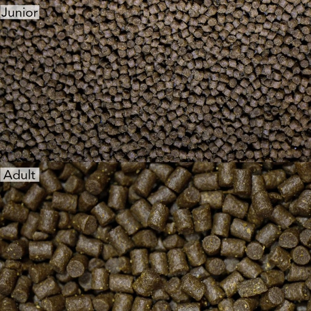 NT Labs Pro-F Axolotl Pellets 3 Sizes - Image 2