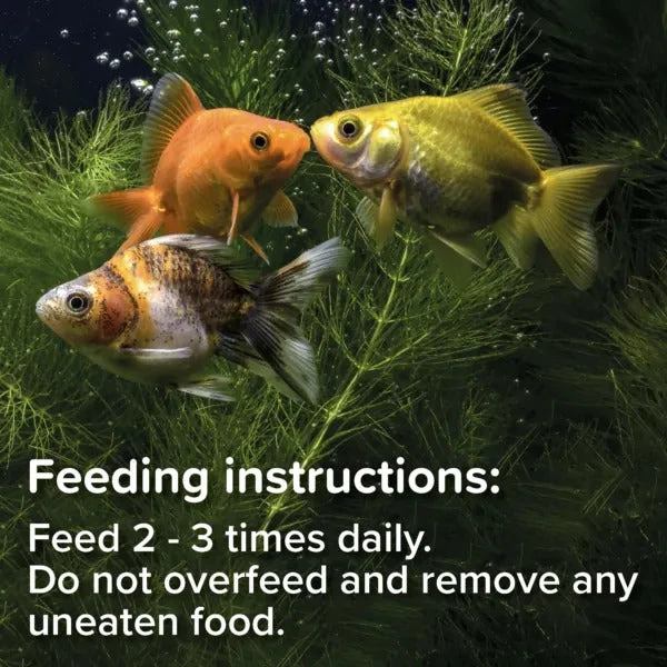 King British Goldfish Fish Food Sinking Pellets 150g - Image 5