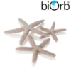 BiOrb Starfish Natural Set Of 3 48357