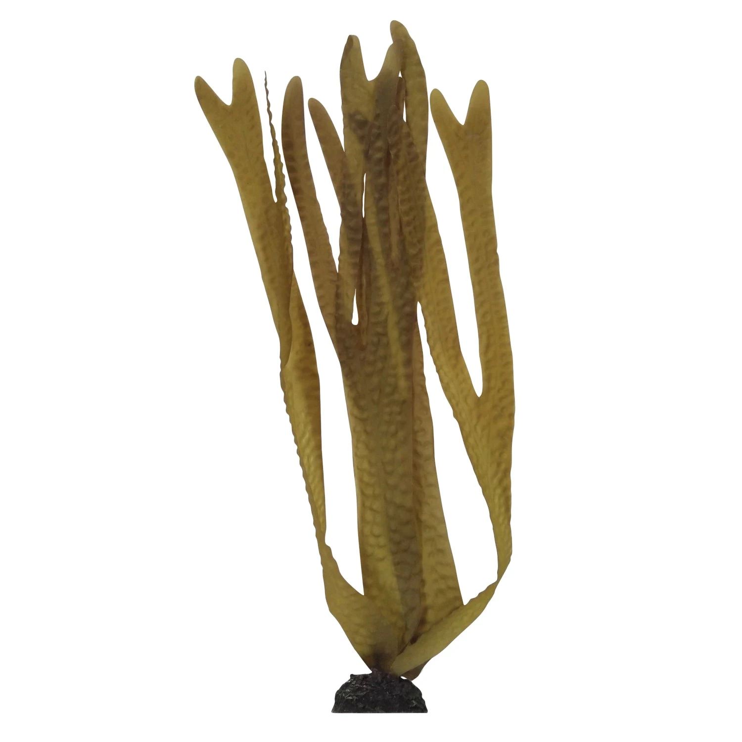 Aqua One Silk Plants Decorscape Laminaria 3 Sizes - Image 2
