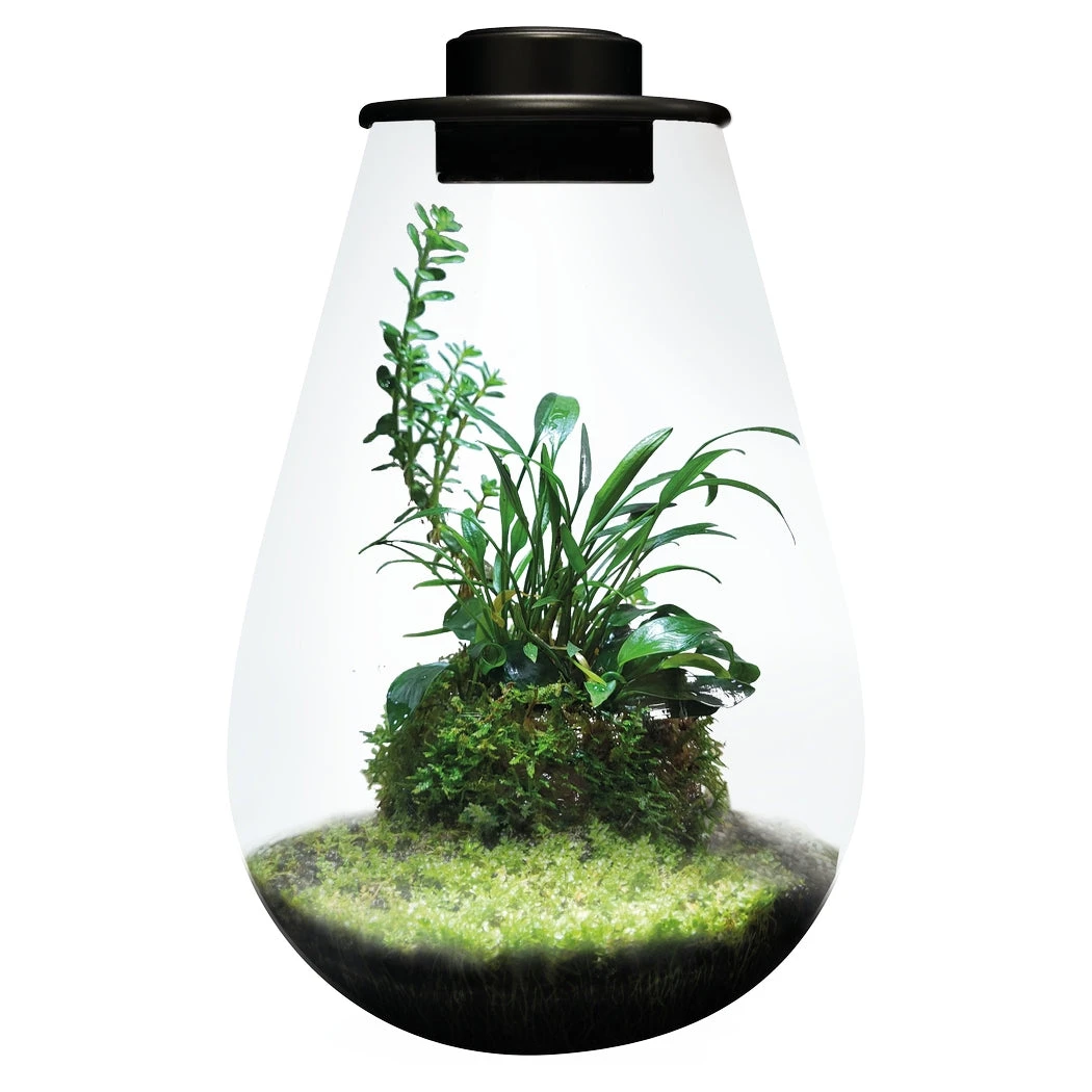 SuperFish BioArt DROP Terrarium Micro Landscape Black 5.1L