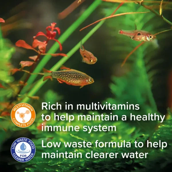 King British Tropical Flake Fish Food 28/55/200g - Image 3