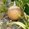 Rainbow Sandstone Drilled Sphere Garden Water Feature Diameter 40cm