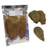 Catappa Indian Almond Leaves (XL) X20
