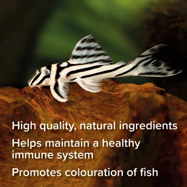 King British Catfish Pellet Fish Food 200/600g - Image 4