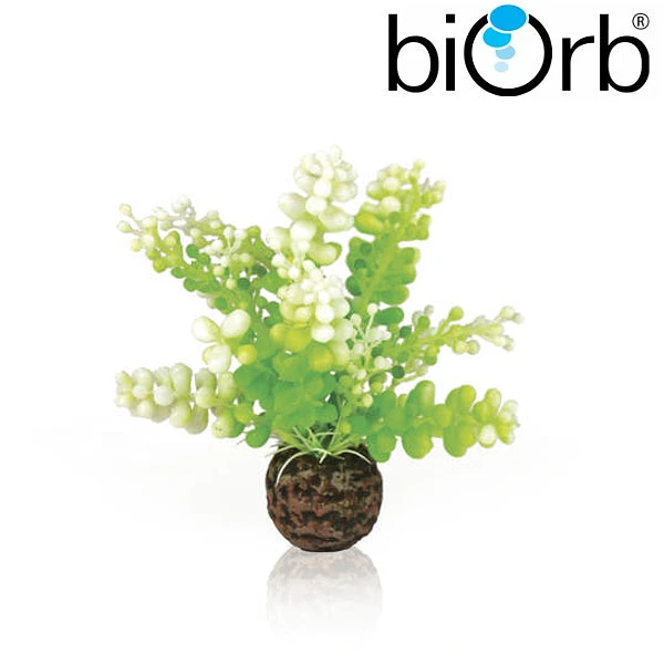 BiOrb Aquatic Caulerpa Green 46090