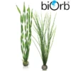 BiOrb Easy Plant Set Green Large Pk Of 2 46057