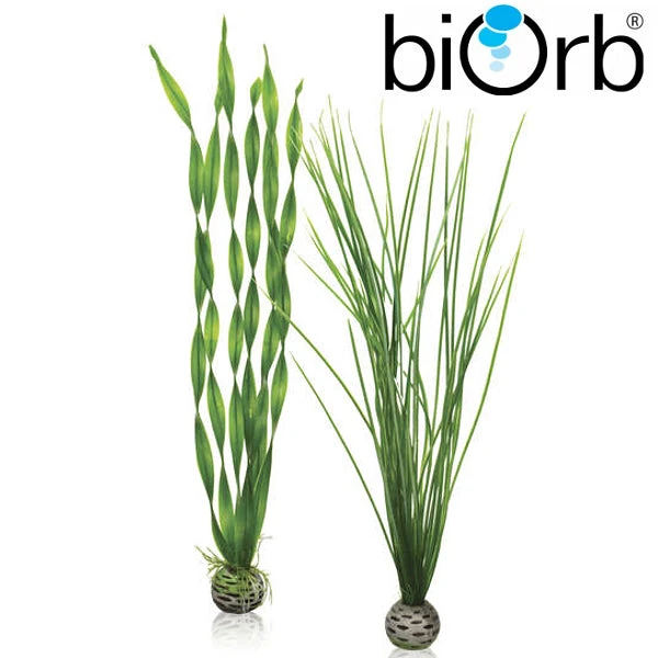 BiOrb Easy Plant Set Green Large Pk Of 2 46057