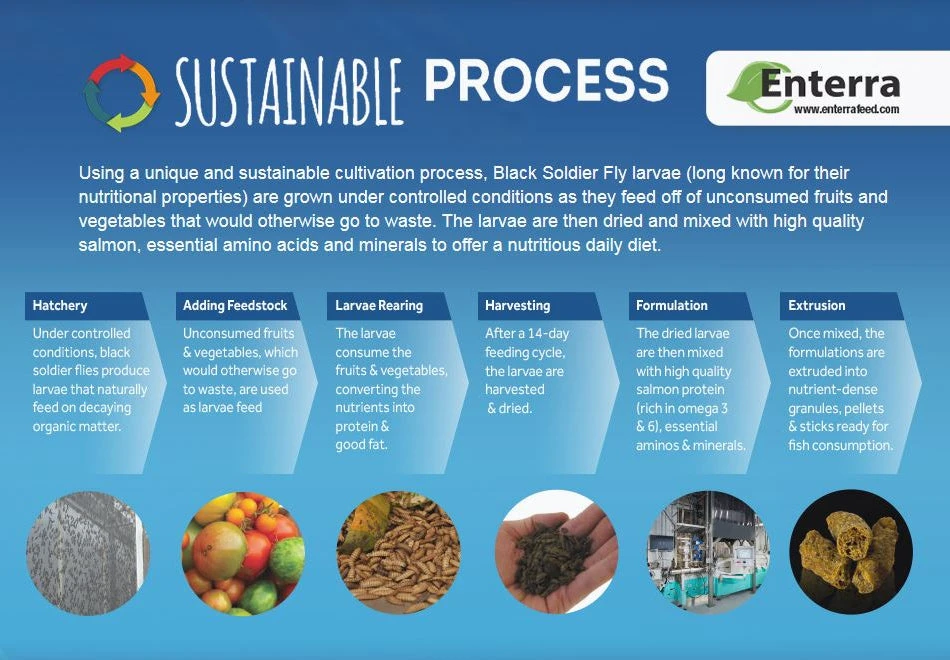 Fluval Bug Bites Insect Formula Fish Food Colour Enhancing 45g - Image 2