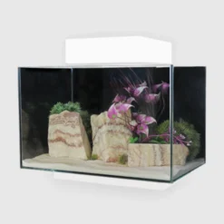 Aqua One Platform 21 Aquarium Fish Tank 40cm 21L White