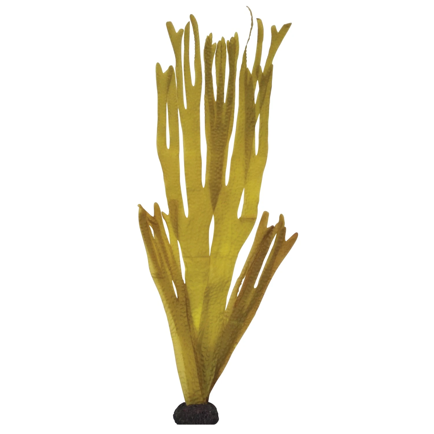 Aqua One Silk Plants Decorscape Laminaria 3 Sizes - Image 4