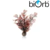 BiOrb Sea Fan Decoration Crimson Small 46069