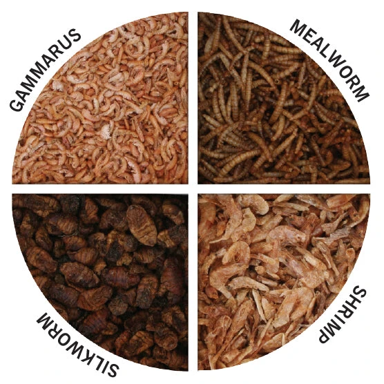 Evolution Aqua Pond Treats 700g - Image 2