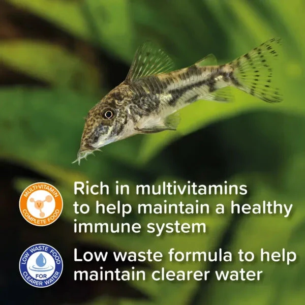 King British Catfish Pellet Fish Food 200/600g - Image 2