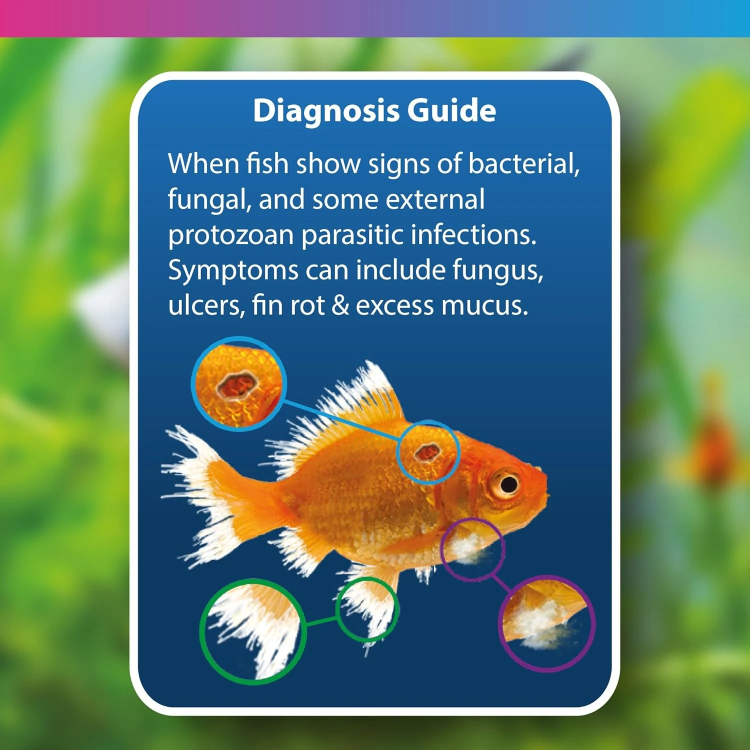 NT Labs Methylene Blue Aquarium Fish Tank Disease Treatment 100ml - Image 4