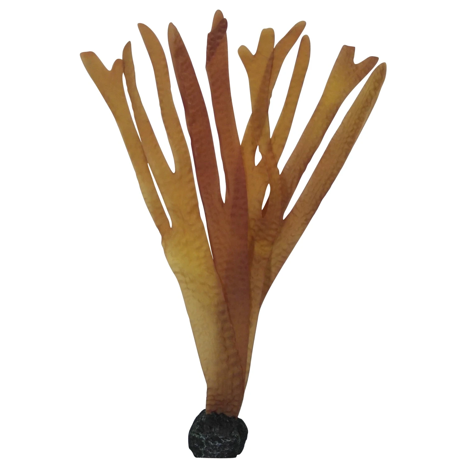 Aqua One Silk Plants Decorscape Laminaria 3 Sizes