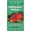 The 101 Best Saltwater Fishes By Scott W. Michael